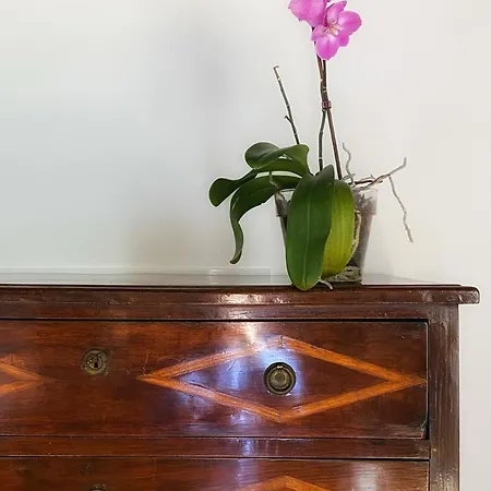 Apartment Historic Charm With Whirlpool - Motta *