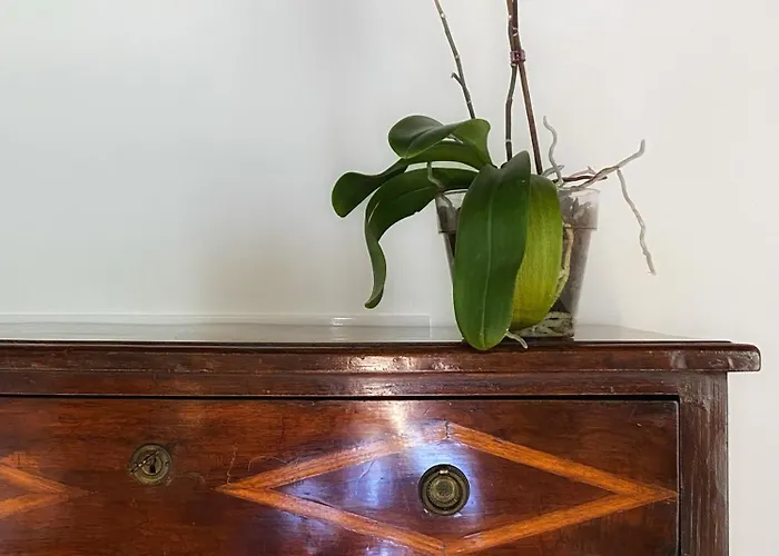 Apartman Historic Charm With Whirlpool - Motta *